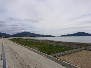 DSC_0146-1000x750